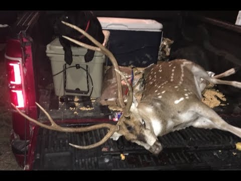 Axis deer hunting in Junction Texas 2017, BIG BUCK DOWN!! 
