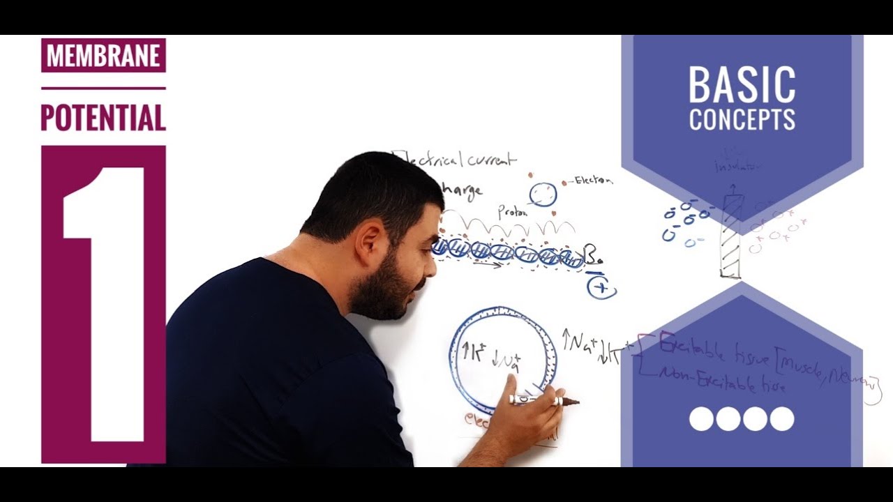 Membrane potential 1: Basic concepts - YouTube