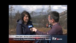 Δάσος Ζηρού - Εκεί που η φύση ξαναγεννιέται μετά την πυρκαγιά - ITV Ειδήσεις 23/03/2026