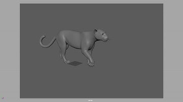 walkcycle | 4 legged