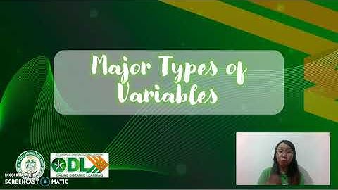TYPES OF VARIABLES | Word Works by Shelica