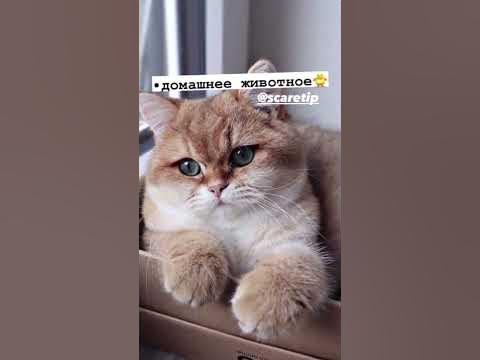 🎂что попросить на др..!🛍 - YouTube