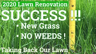 LAWN RENOVATION PROGRAM. Grass Seeding and Fall Pre-Emergent Results Tenacity. Taking Back Our Lawn