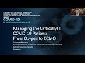 Managing the critically ill COVID-19 patient: From oxygen to ECMO | Assoc Prof Graeme MacLaren