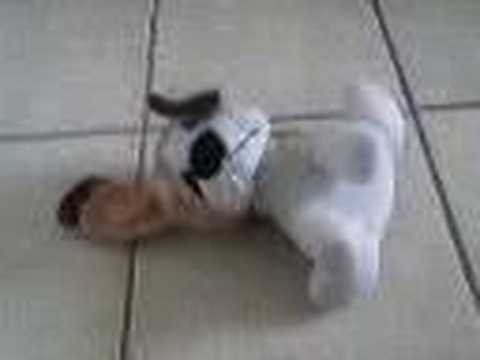 Perro Cogiendo 3 - YouTube