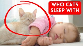 Why Does Your Cat Sleep With You? - How Cats Choose Who To Sleep With by CATS NOW 531 views 2 months ago 4 minutes, 29 seconds