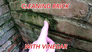 How To Clean Brick with Vinegar