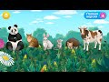 Изучаем животных: кошку, корову, мышку, панду, кролика, ёжика.