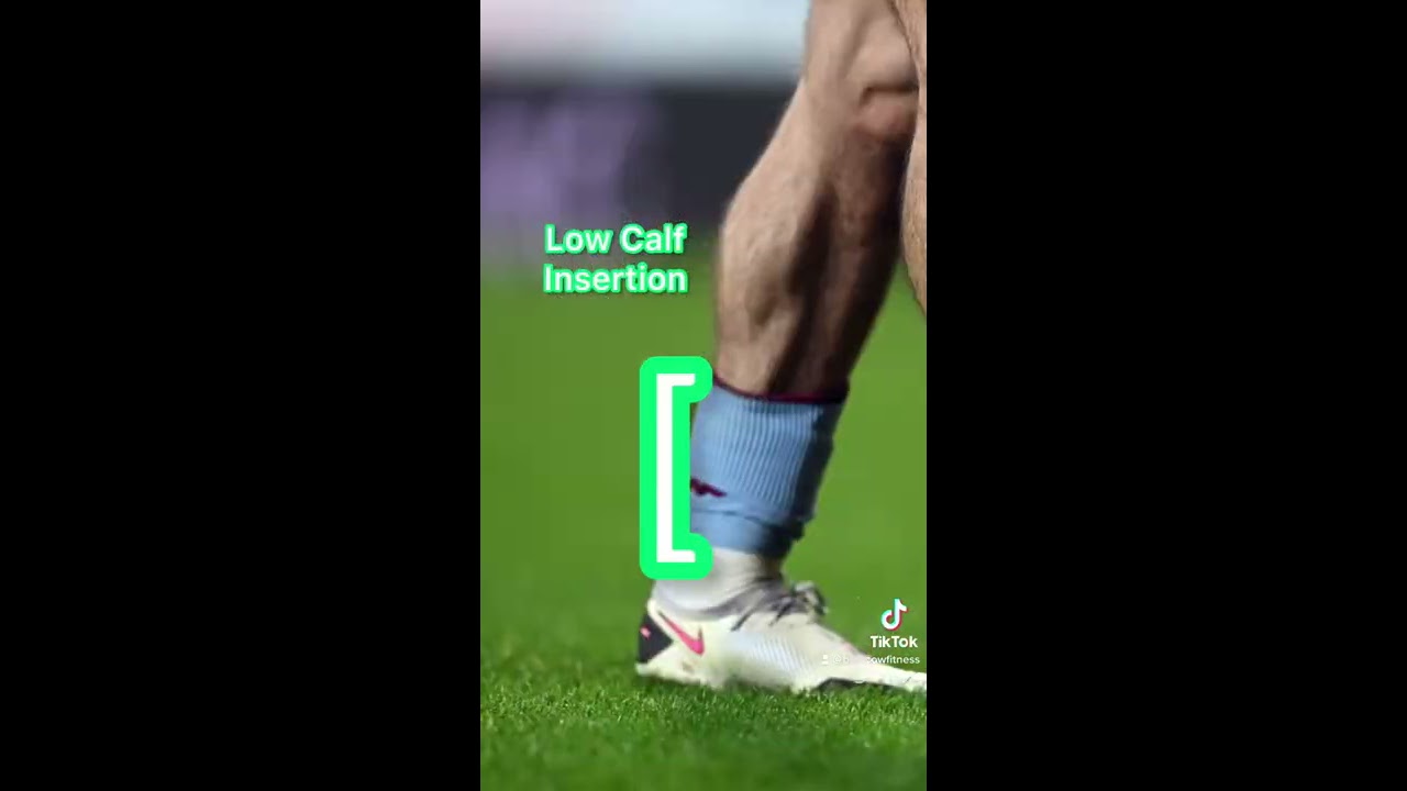 BUILD BIG CALVES NO BS 