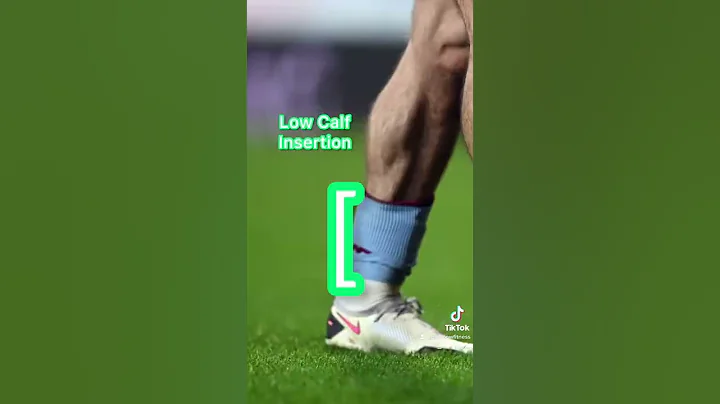 BUILD BIG CALVES (NO BS!!!) 😁😏