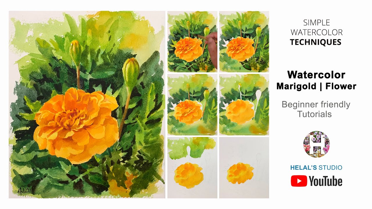 How to Paint Flower | Realistic Flower | Marigold Flower| Easy watercolor tutorials| HELAL'S STUDIO