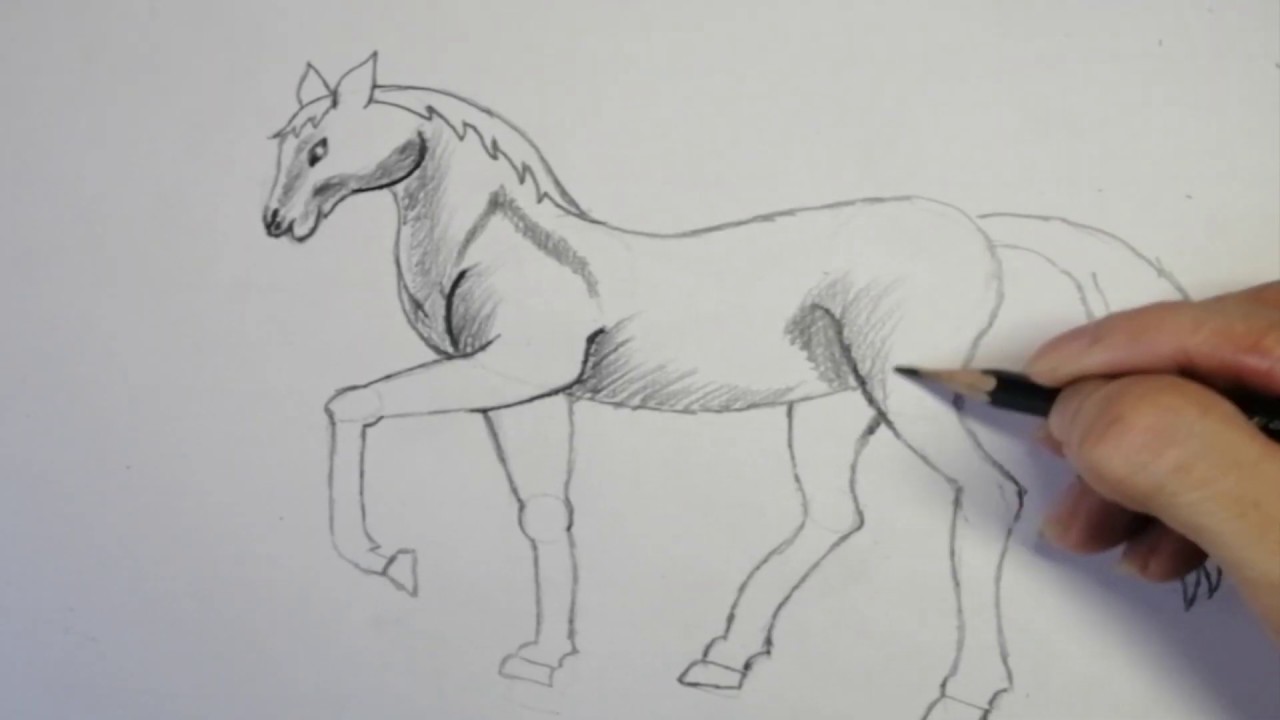 Hướng Dẫn Vẽ Con Ngựa Bằng Bút Chì | Vẽ Phác Thảo Hình Con Ngựa | Draw The  Horse With A Pencil - Youtube