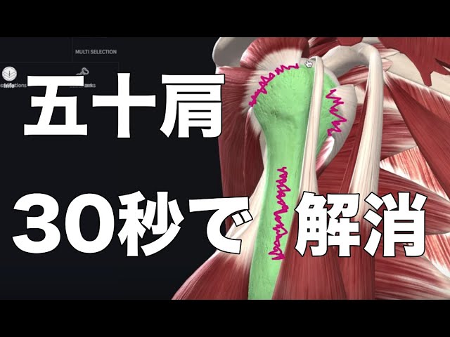 四十肩 五十肩 簡単 自宅でできる肩の痛み３０秒ストレッチ 肩関節周囲炎 治し方 ストレッチ Stretch To Cure Shoulder Pain In 30 Seconds Youtube