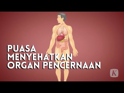 Video: Ahli neurofisiologi membuka tabir tentang sifat kesadaran dan perasaan cinta