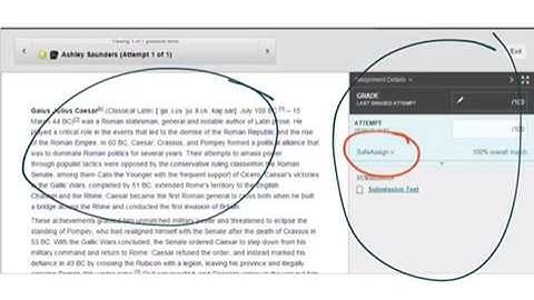 Accessing SafeAssign Reports