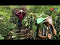 Rural Life In Nepal | Farmers Real Traditional Activities In Pahadi Region | Nepali Village Life