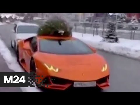 Водитель Lamborghini перевозит на крыше елку в Красной Поляне - Москва 24