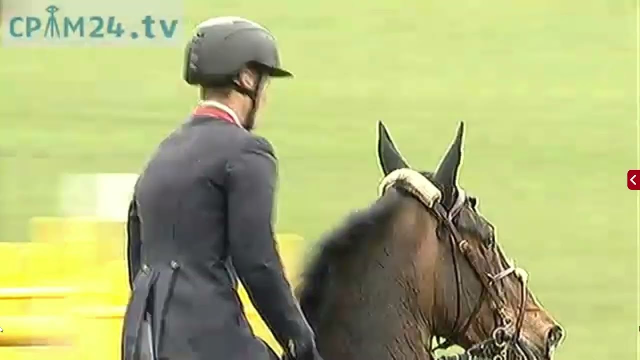 William Whitaker & Animation II (sired by Animo) - Hamburger Derby - Qualifikation Spring-Derby