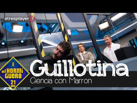 Marron se juega el cuello: evita el corte de una guillotina - El Hormiguero