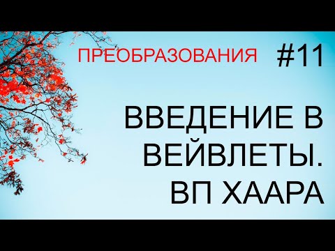 Видео: Неравенство в отношении здоровья в Эфиопии: моделирование неравенства в продолжительности жизни внутри и между группами населения