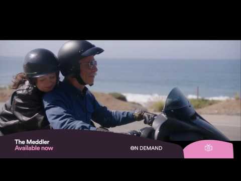 The Meddler -