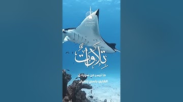 ما تيسر من سورة ق - القارئ ياسين إعمران