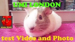 UMI LONDON - пример записи ВИДЕО, ФОТО (Example video recording photo) UMI LONDON - пример записи ВИДЕО, ФОТО (Example video recording photo)