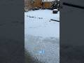 It’s snowing ❄️🥶❄️! #shortsvideo #shortvideo #fyp #snow #december #christmas