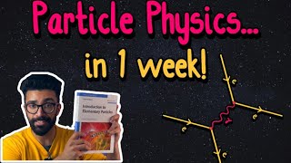 I Taught Myself Particle Physics in 1 Week!