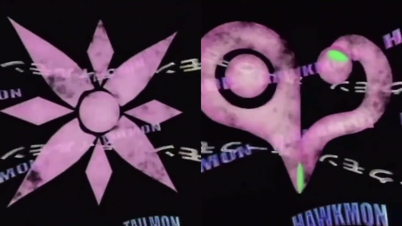 Gatomon and Hawkmon Armor Digivolve