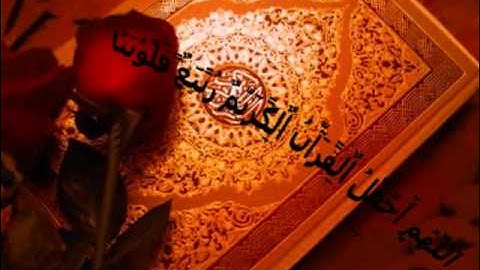 تلاوة خاشعة للشيخ عبد المحسن الحارثي - tv Quran