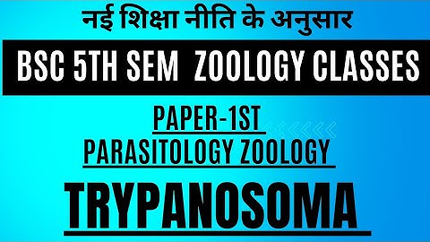 Bsc 5th sem zoology classes|Trypanosoma|paper -1st[Nonchordata parasitology & Economic zoology]