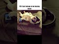 Can you relate? | #funny #relatable #music #fyp #comedy