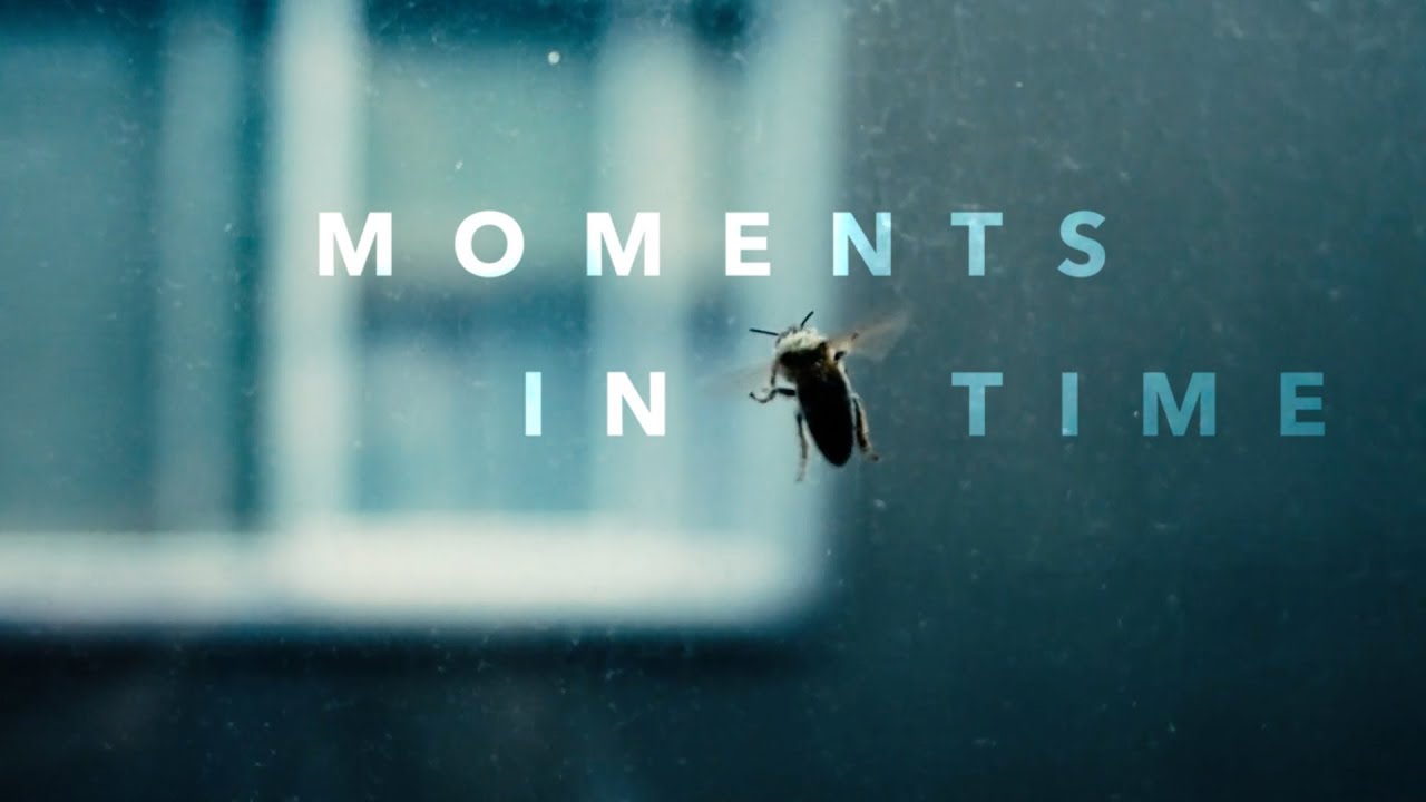 Moments in Time - YouTube