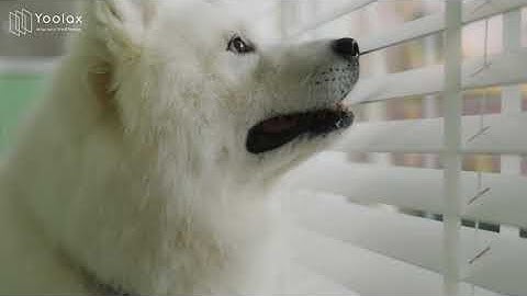 Yoolax Smart Real Wood Blinds