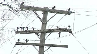 DTE worker robbed at gunpoint while guarding downed wire