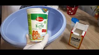 Piroschki Piroggen Rezept