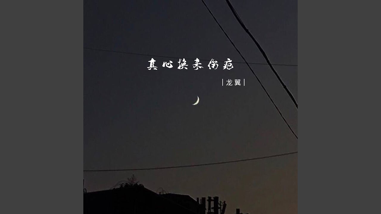在 YouTube 上观看 真心换来伤疤 (伴奏) 在 YouTube 上观看 真心换来伤疤 (伴奏)