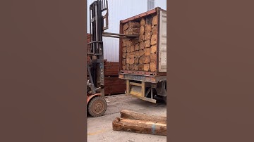 Container unloading imported pine wood