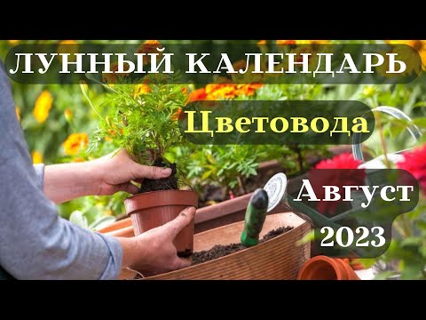 Лунный Посевной Календарь Цветовода на Август 2023┃#сад #календарь #2023 #луна #топ #цветы #август