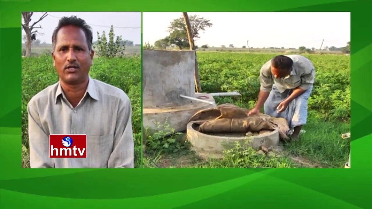 Success Story Of Ramana Reddy over Natural Farming | Nagarkurnool | Nela Talli | HMTV
