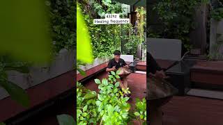 An nơi phố thị ❤️🙏 | HANG DRUM VIETNAM by Longpercussion #hangdrum #handpan #432hz