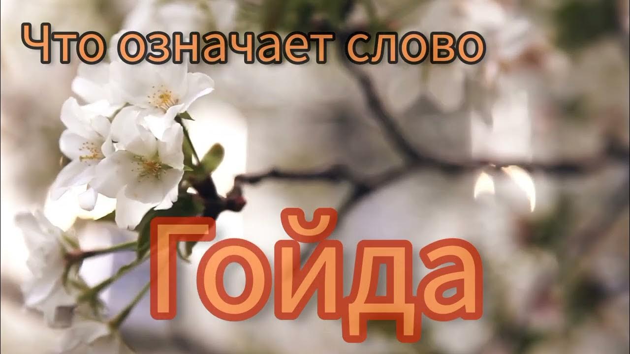 Гойда - что это значит? - YouTube