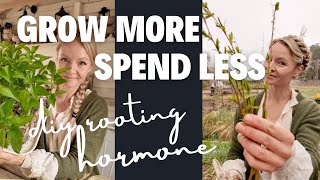 Propagate from your seedlings with this DIY willow rooting hormone! by Regenerative Gardening with Blossom & Branch Farm 7,382 views 1 month ago 12 minutes, 13 seconds