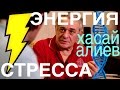 Хасай Алиев - интерьвью,  ВЛОГ у него дома. ЭНЕРГИЯ СТРЕССА