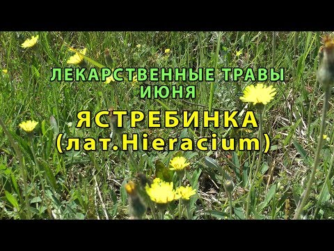 Бейне: Сібір скердасы