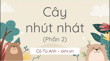 Bạn có biết (Phần 2) - Tiếng Việt 2 - Chân trời sáng tạo - OLM.VN