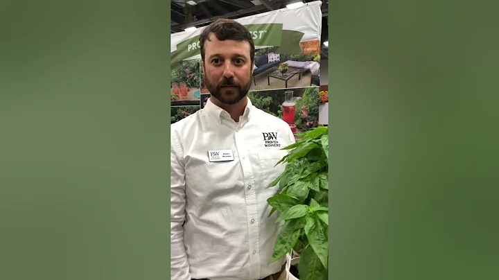 Adam Moseley Talks About Amazel Basil