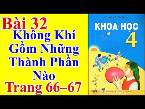 Video: Các thành phần chính của DSS là gì?