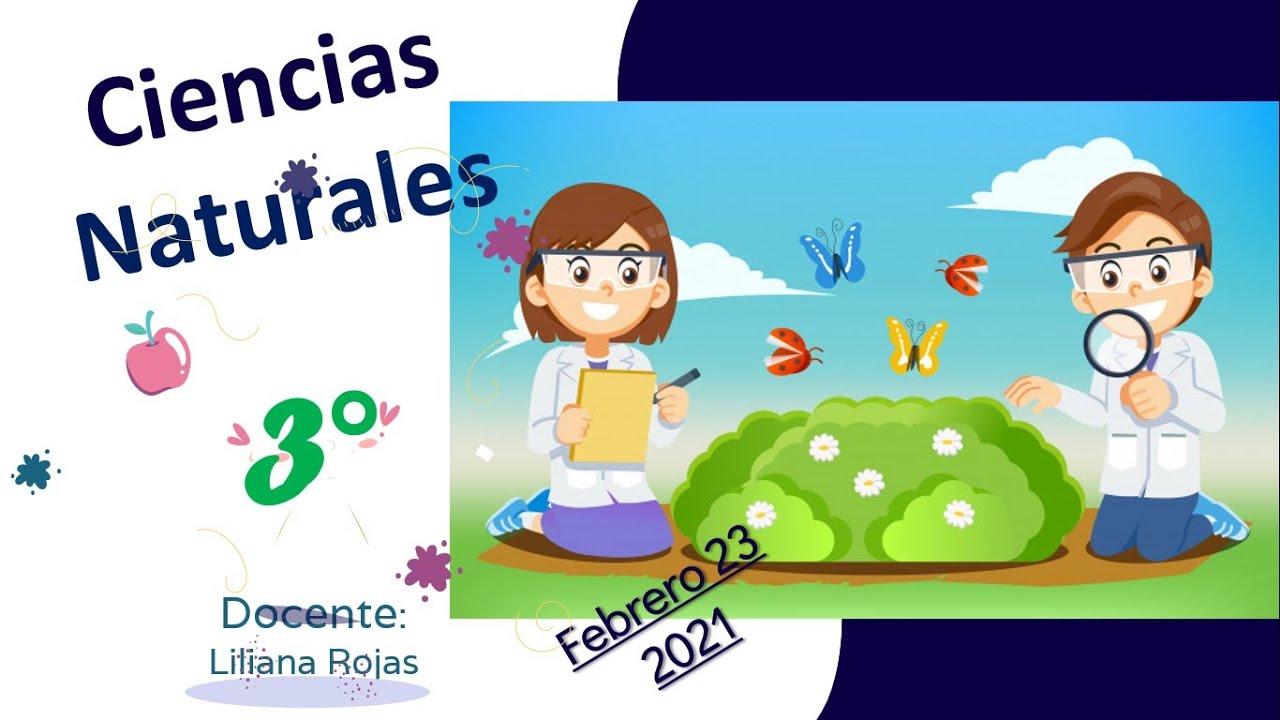 CLASE CIENCIAS NATURALES 3° -Tema 3. ¿Como funcionan los seres vivos  (relación)? - thptnganamst.edu.vn